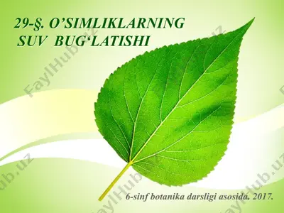 o'simliklarning suv bug'latishi. 6 - sinf — PPTX