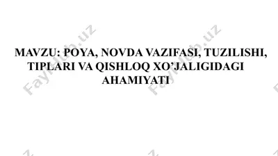 poya, novda vazifasi, tuzilishi va tiplari — PPTX