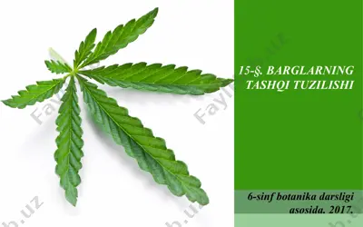 barglarning tashqi tuzilishi. 6 - sinf — PPTX