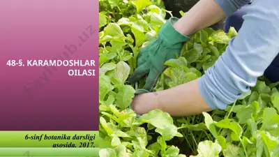 karamdoshlar oilasi. 6 - sinf — PPTX
