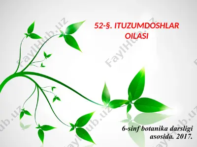 ituzumdoshlar oilasi. 6 - sinf — PPTX
