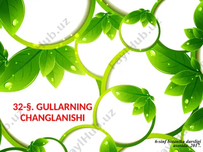 gullarning changlanishi. 6 - sinf — PPTX