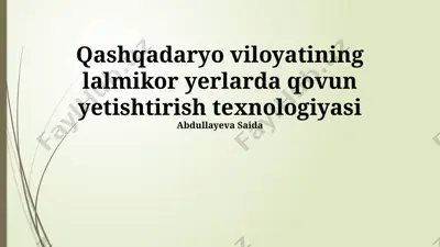 qashqadaryo viloyatining lalmikor yerlarda qovun yetishtirish texnologiyasi — PPTX