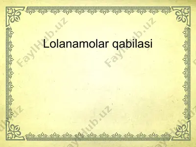 lolanamolar qabilasi taqdimoti — PPT
