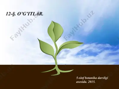 o'g'itlar. 5 - sinf — PPT
