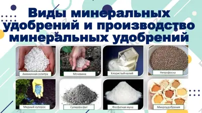 минеральные удобрения — PPTX