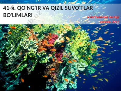 qo'ng'ir va qizil suvo'tlar bo'limlari. 6 - sinf — PPTX