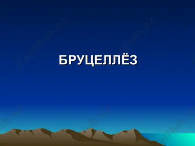 бруцеллёз — PPT