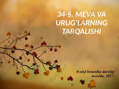 meva va urug'larning tarqalishi. 6 - sinf — PPTX