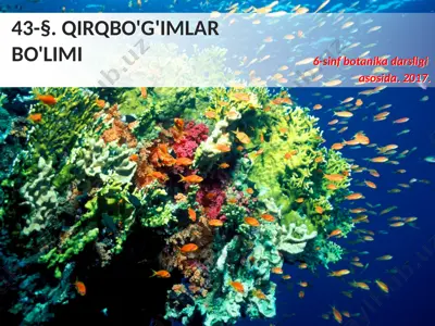 qirqbo'g'imlar bo'limi. 6 - sinf — PPTX