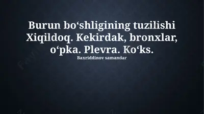 burun bo‘shlig‘i va ko‘krak qafasi tuzilishi taqdimoti — PPTX