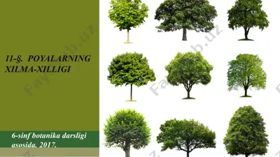 poyalarning xilma-xilligi. 6 - sinf — PPTX