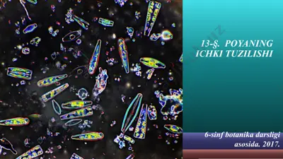 poyaning ichki tuzilishi. 6 - sinf — PPTX
