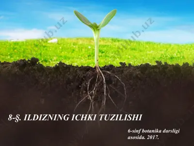 ildizning ichki tuzilishi. 6 - sinf — PPTX