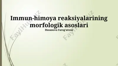 immun-himoya reaksiyalarining morfologik asoslari — PPTX