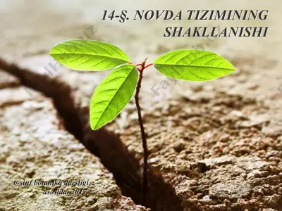 novda tizimimg shakllanishi. 6 - sinf — PPTX