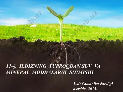 ildizning tuproqdan suv va mineral moddalarni shimishi. 5 - sinf — PPT