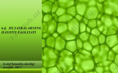 hujayralarning hayotiy faoliyati. 6 - sinf — PPTX