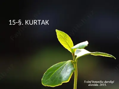 kurtak. 5 - sinf — PPT