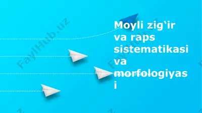 moyli zig‘ir va raps sistematikasi va morfologiyasi — PPTX