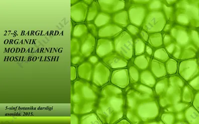 barglarda organik moddalarning hosil bo‘lishi. 5 - sinf — PPT
