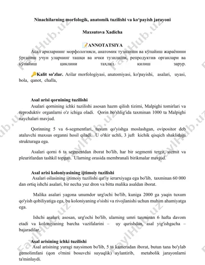 ninachilarning morfologik, anatomik tuzilishi va koʻpayish jarayoni — DOCX