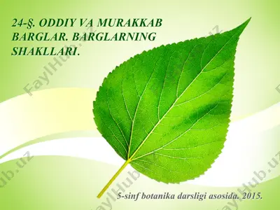 oddiy va murakkab barglar. barglarning shakllari. 5 - sinf — PPT