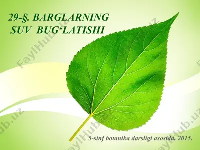 barglarning suv bug‘latishi. 5 - sinf — PPT