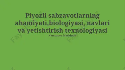 piyozli sabzavotlarning ahamiyati, biologiyasi, navlari va yetishtirish texnologiyasi — PPTX