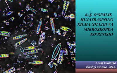 o‘simlik hujayrasining xilma-xilligi va mikroskopda ko‘rinishi. 5 - sinf — PPT