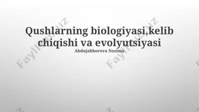 qushlarning biologiyasi, kelib chiqishi va evolyutsiyasi — PPTX