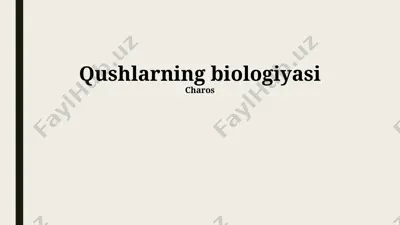 qushlarning biologiyasi — PPTX