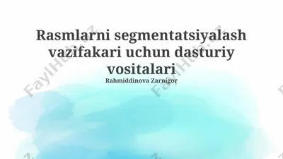 rasm segmentatsiyasida dasturiy ta'minot vositalari — PPTX