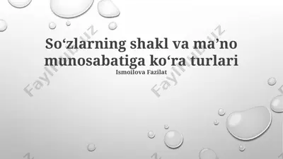 soʻzlarning shakl va maʼno munosabatiga koʻra turlari — PPTX