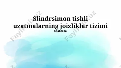 slindrsimon tishli uzatmalarning joizliklar tizimi — PPTX