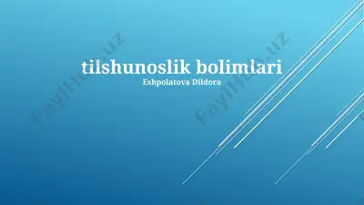 markaziy va periferik nerv sistemasining bo‘limlari — PPTX