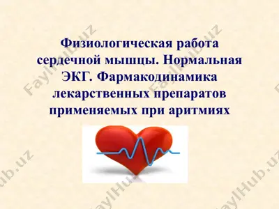 физиологическая работа сердечной мышцы. нормальная экг. фармакодинамика лекарственных препаратов применяемых при аритмиях — PPT