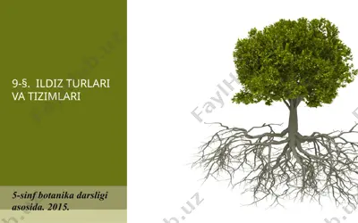 ildiz turlari va tizimlari. 5 - sinf — PPT