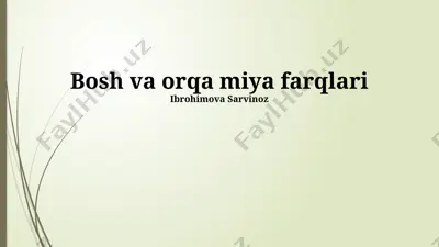 bosh va orqa miya farqlari — PPTX