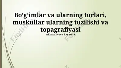 boʻgʻimlar va ularning turlari, muskullar ularning tuzilishi va topagrafiyasi — PPTX