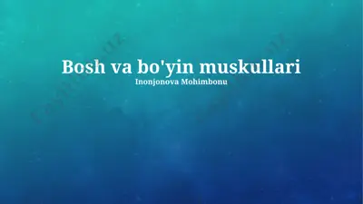 bo'yin va yelka muskullari haqida taqdimot — PPTX