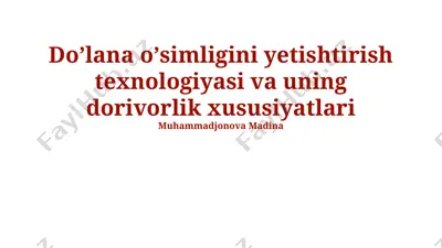 dolichos loviyasi — PPTX