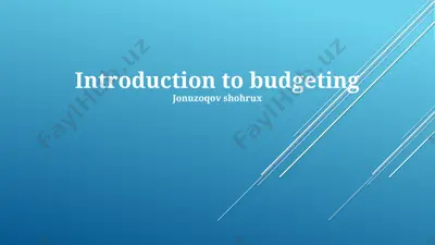 introduction to budgeting — PPTX