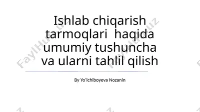 ishlab chiqarish tarmoqlari haqida umumiy tushuncha va ularni tahlil qilish — PPTX