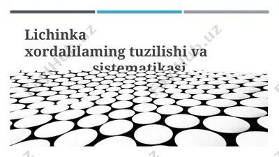 lichinka xordalilarining tuzilishi va sistematikasi — PPTX