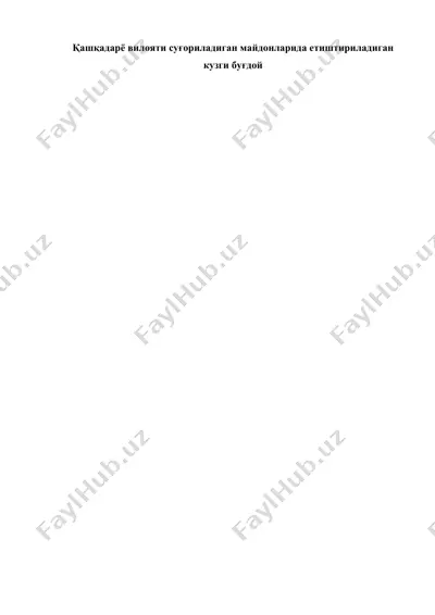 қашқадарё вилояти суғориладиган майдонларида етиштириладиган кузги буғдой  — DOC
