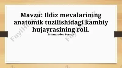 ildiz mevalarining anatomik tuzilishidagi kambiy hujayrasining roli — PPTX