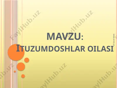 ituzumdoshlar oilasi — PPTX
