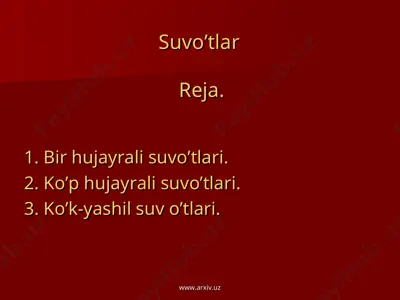 suvo’tlar — PPT