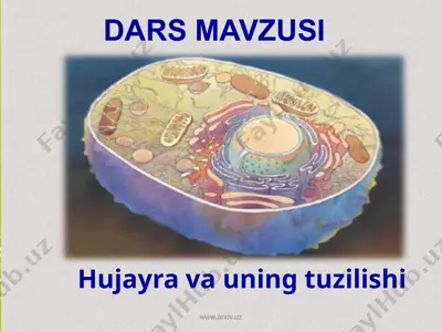 hujayra va uning tuzilishi — PPTX